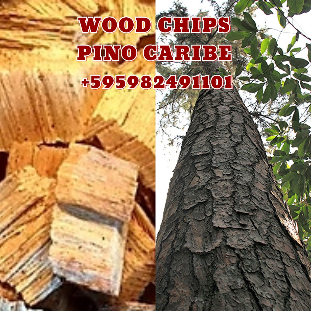 Offers to Sell Hardwood Lumber