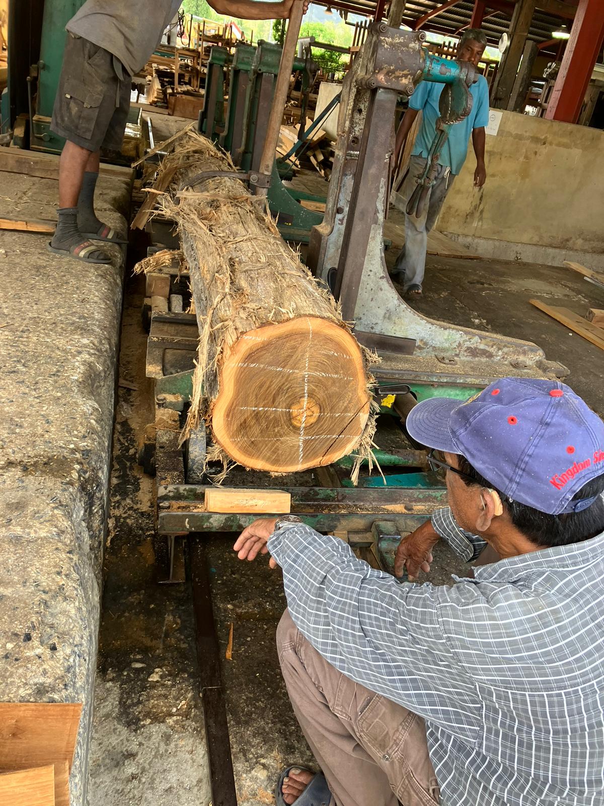 Offers to Sell Hardwood Lumber